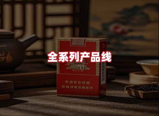 专业团队
